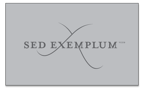 image of a shirt with the words sed exemplum and an infinity symbol